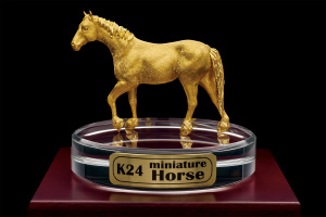 K24 miniature Horse