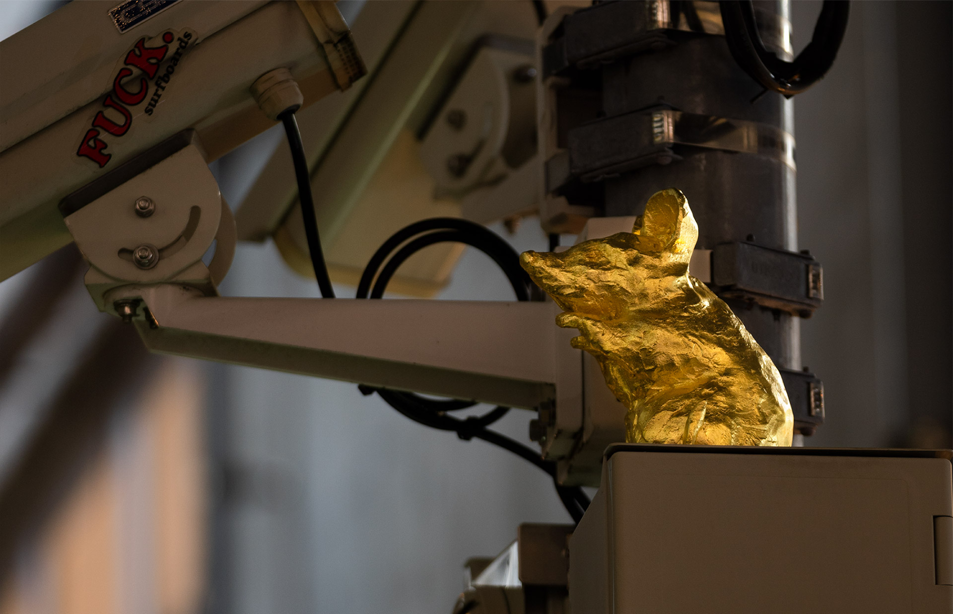 Vol.2 SIDE CORE丨SGC 現代アートコレクション丨SGC-「大黄金展」と