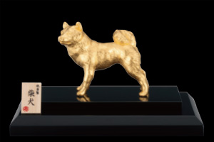 K24 柴犬