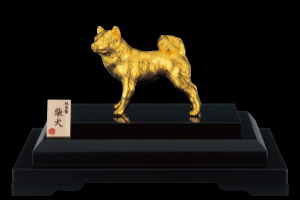 K24 柴犬