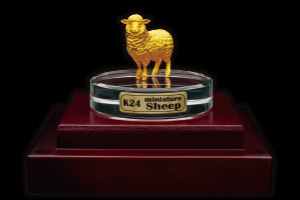 K24 miniature Sheep