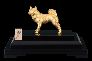 K24 柴犬